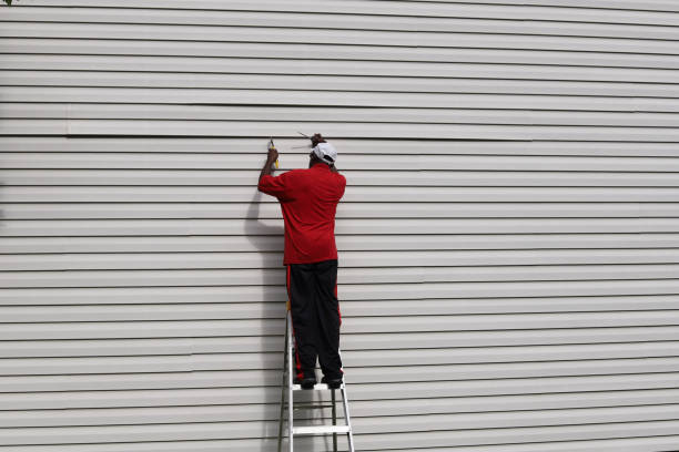 Best Vinyl Siding Installation  in Bylas, AZ