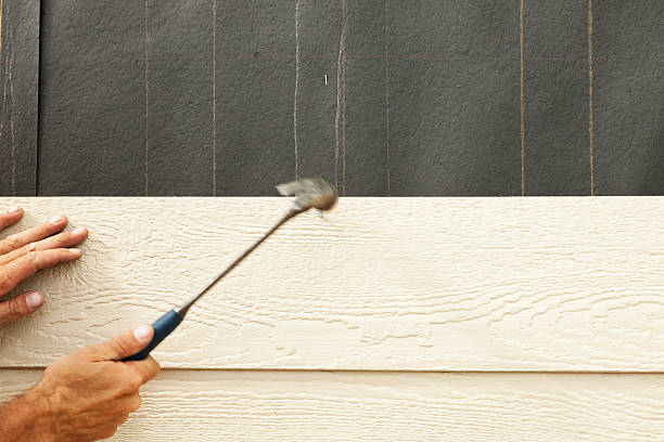 Best Vinyl Siding Installation  in Bylas, AZ